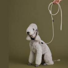 画像をギャラリービューアに読み込む, Shoulder Leash（リード）｜INUS（イヌス）
