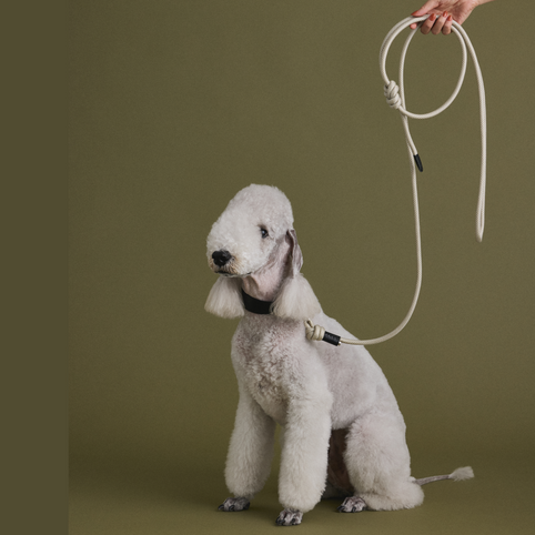 INUS Shoulder Leash（リード）｜INUS（イヌス）