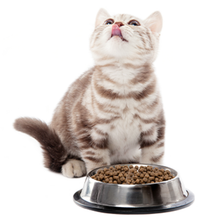 画像をギャラリービューアに読み込む, アレヴァ　エクイリブリアム　センシティブ　フィッシュ　成猫用　１．５ｋｇ｜アレヴァ
