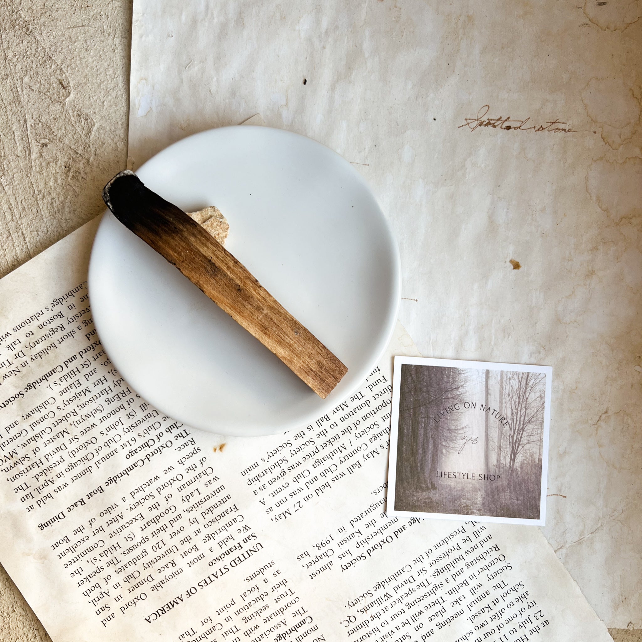 香木　セット feellife（アロマ） クーポンで10％OFF パロサント 香木 3本