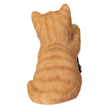 画像をギャラリービューアに読み込む, ソーラーランプを右手で持ち上げる茶トラ猫｜WooBia（ウービア）
