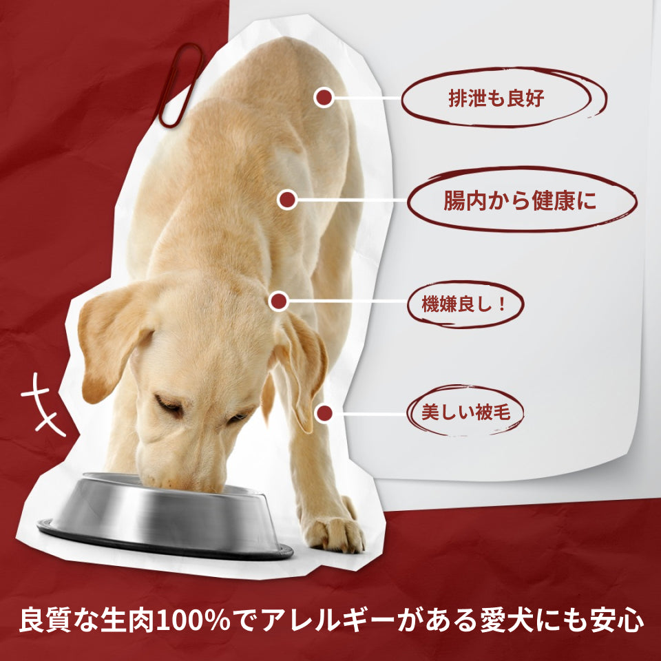 犬用フリーズドライおやつ アンバージャック（カンパチ100