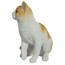 画像をギャラリービューアに読み込む, 右向きお座り茶トラ白猫（中）｜WooBia（ウービア）
