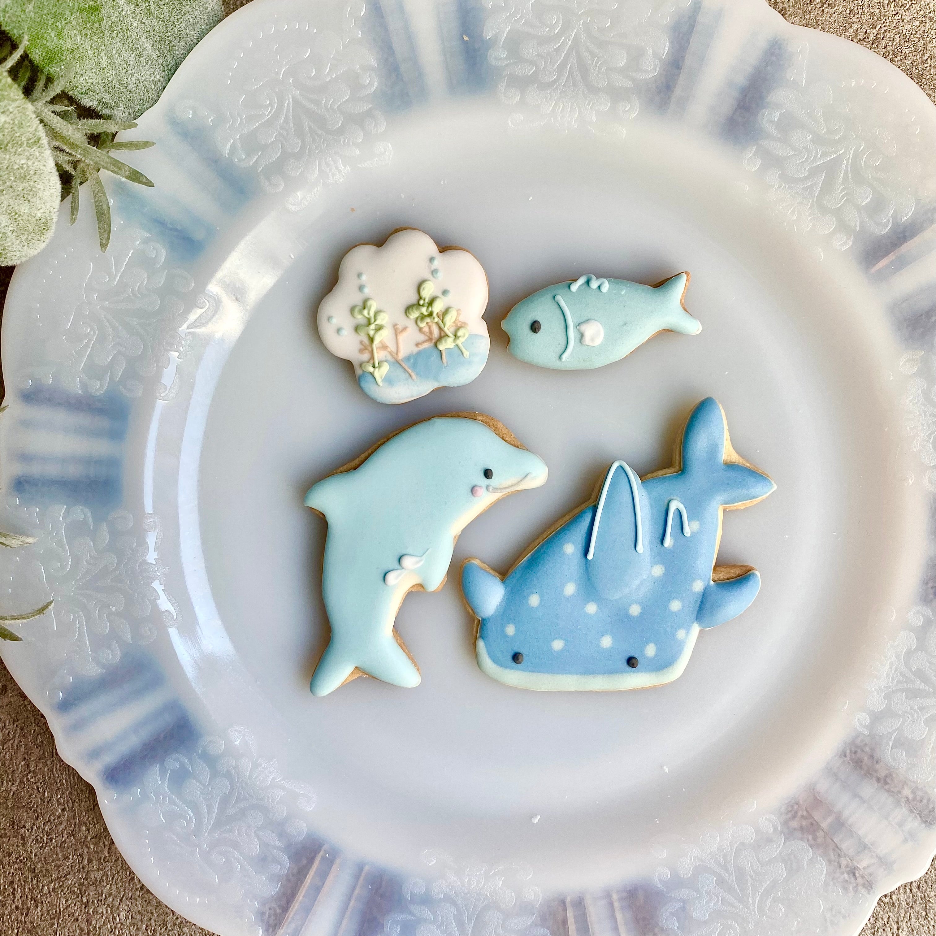ジンベイザメとイルカと魚【アイシングクッキー】｜sumirecookies（スミレクッキーズ）