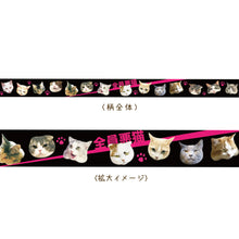 画像をギャラリービューアに読み込む, マスキングテープ 「全員悪猫」｜とことこサーカス
