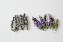 画像をギャラリービューアに読み込む, ラベンダー｜箱根山麓ハーブTreize13（ハコネサンロクハーブトレーズ）
