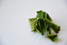 画像をギャラリービューアに読み込む, 免疫｜箱根山麓ハーブTreize13（ハコネサンロクハーブトレーズ）
