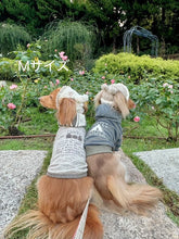 画像をギャラリービューアに読み込む, もふもふベアーハット｜shop ann（ショップ　アン）
