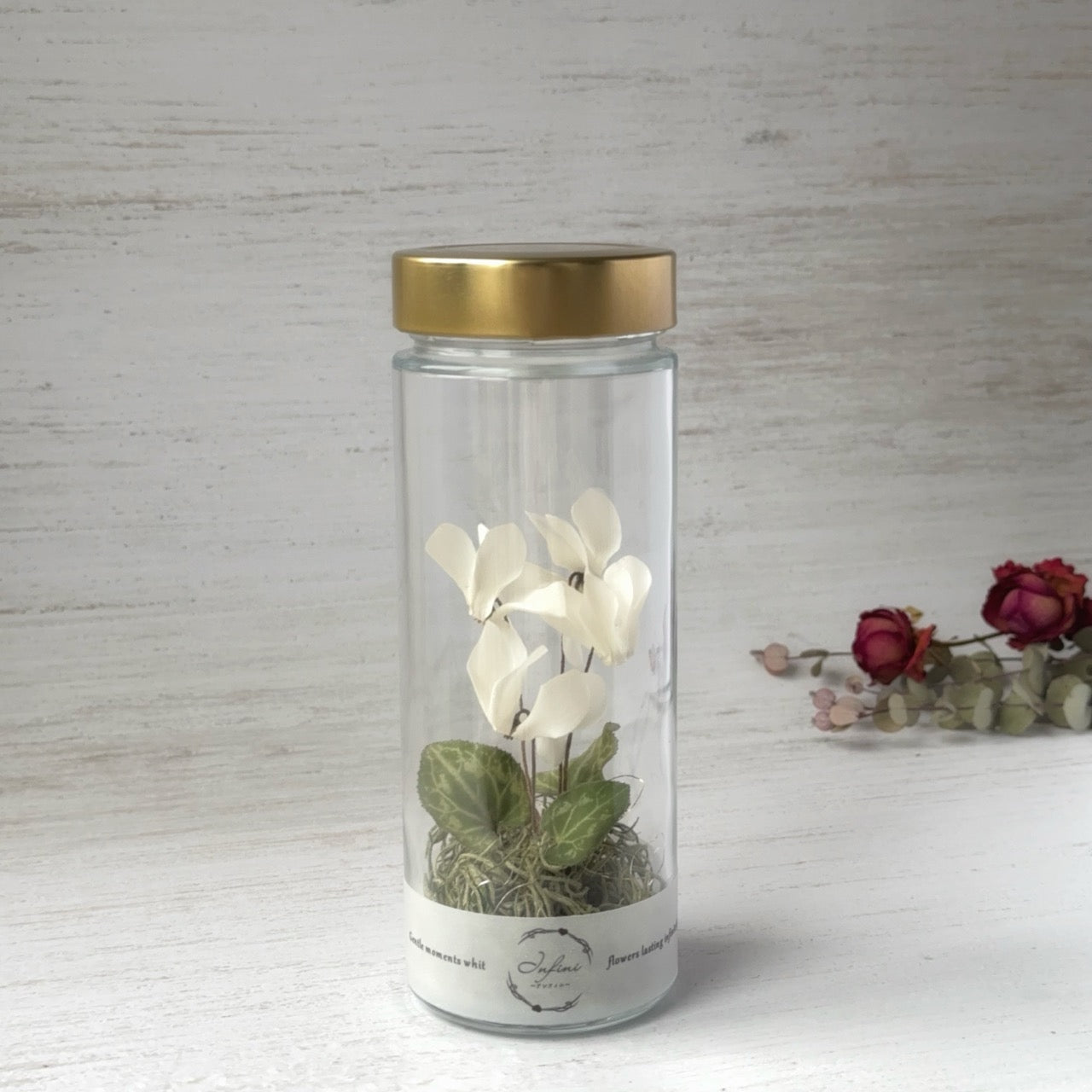 シクラメンのボトルフラワー｜Infini（アンフィニ）