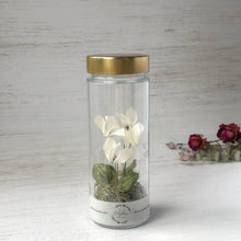 画像をギャラリービューアに読み込む, シクラメンのボトルフラワー｜Infini（アンフィニ）
