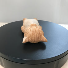 画像をギャラリービューアに読み込む, へそ天　茶トラ猫｜WooBia（ウービア）
