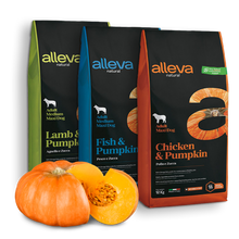 画像をギャラリービューアに読み込む, アレヴァ　ナチュラル　成犬用　ラム＆パンプキン　２ｋｇ｜アレヴァ
