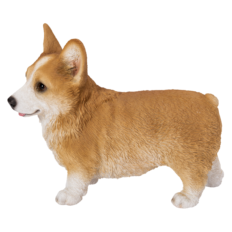 左向きに立つウェルシュコーギー｜WooBia（ウービア） – CHOOSEBASE