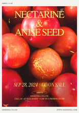 画像をギャラリービューアに読み込む, 1-5-68[ネクタリン]｜クラフトジン｜AMRTA（アムリタ）
