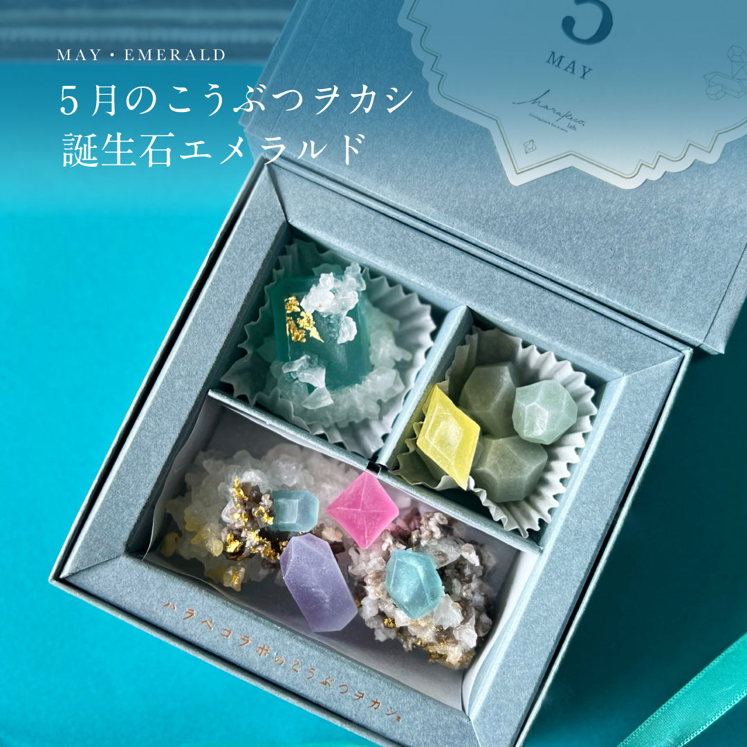 harapecolab – CHOOSEBASE SHIBUYA