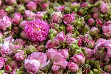 画像をギャラリービューアに読み込む, ブルガリアンローズ　ウォーター｜ALTEYA ORGANICS（アルテヤオーガニック）
