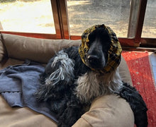 画像をギャラリービューアに読み込む, ワンちゃん用スヌード　タータンチェック　黄色＆黒｜FARADAY　KAMAKURA（ファラディ　カマクラ）
