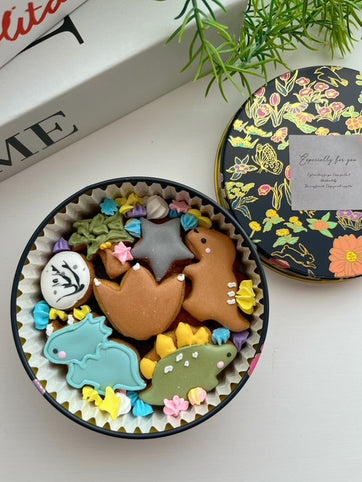 CoHaRe.S カラフルで愛らしい恐竜たちのクッキー缶｜CoHaRe.S（コハレエス）