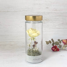 画像をギャラリービューアに読み込む, ラナンキュラスのボトルフラワー｜Infini（アンフィニ）
