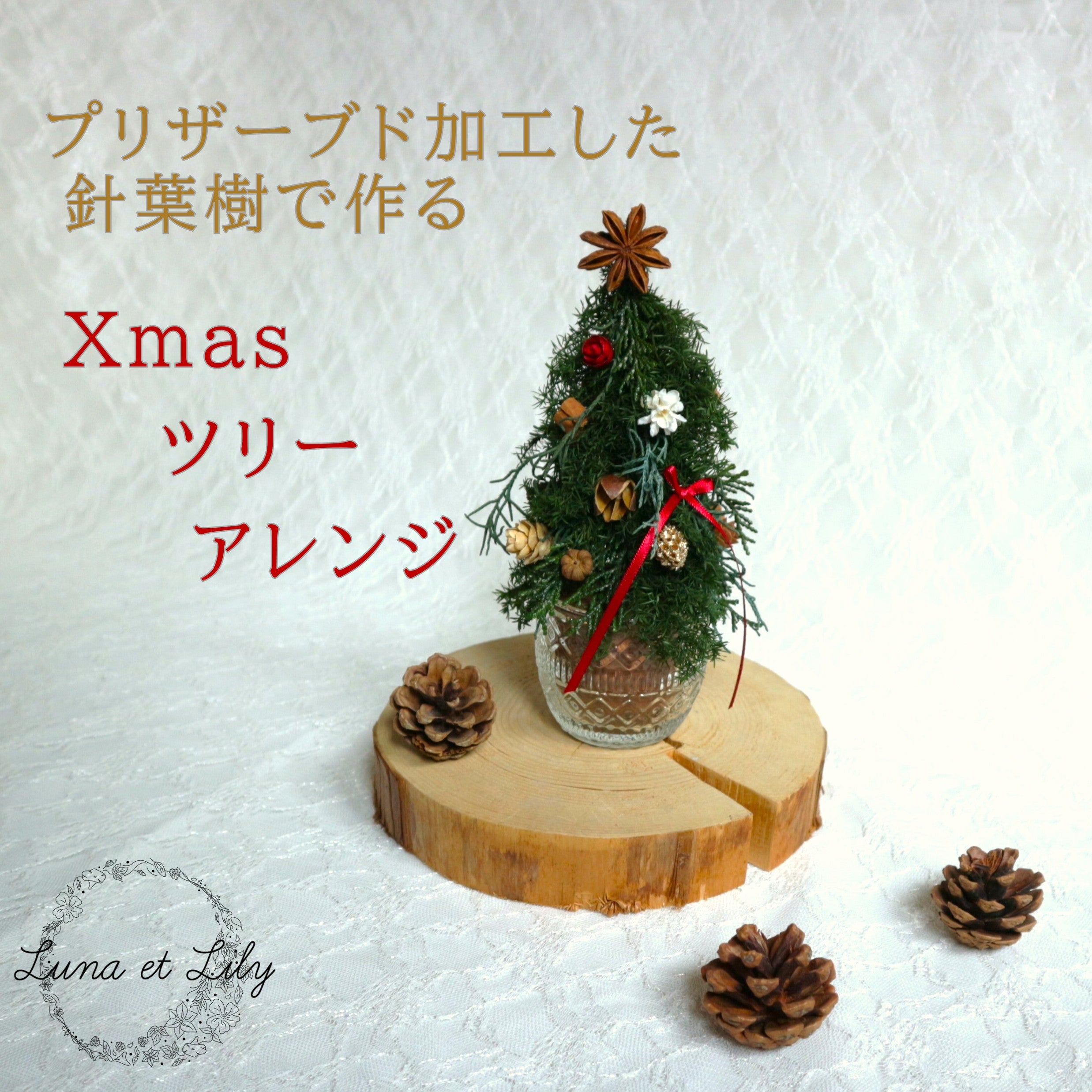 【ワークショップ】“ナチュラル素材で作る、世界に一つだけのクリスマスアイテム”/Xmasツリーアレンジ｜Luna et Lily（ルナエリリ）