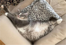 画像をギャラリービューアに読み込む, 伸びをするネコ・ロイの首飾り｜maltamarie（マルタマリエ）
