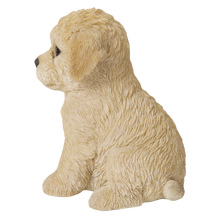 画像をギャラリービューアに読み込む, お座り トイプードル｜WooBia（ウービア）
