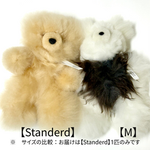 画像をギャラリービューアに読み込む, 【Standard】 アルパカベア  テディベア ぬいぐるみ（BOX付）｜Alpaca Bear&#39;s（アルパカベアーズ）
