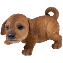 画像をギャラリービューアに読み込む, かまえるダックスフンドの子犬｜WooBia（ウービア）
