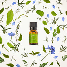 画像をギャラリービューアに読み込む, ＜香りのトライアル ミニサイズ＞ハーバルシナジールームフレグランススプレー （2ml）｜BÉLAIR LAB（ベレアラボ）
