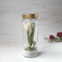 画像をギャラリービューアに読み込む, チューリップのボトルフラワー｜Infini（アンフィニ）
