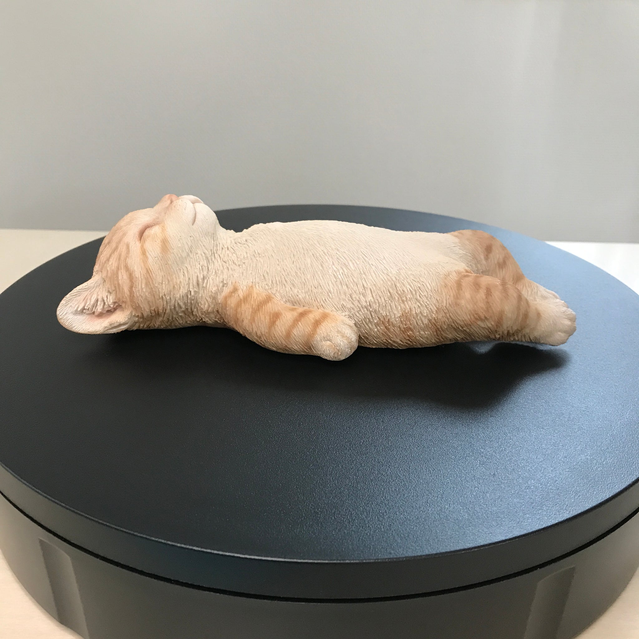 へそ天 茶トラ猫｜WooBia（ウービア） – CHOOSEBASE SHIBUYA