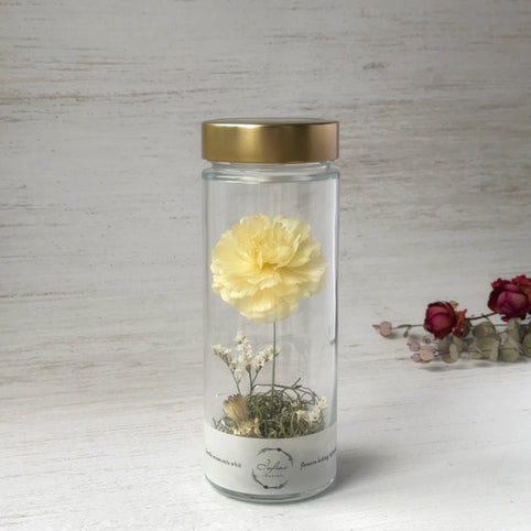 Infini ラナンキュラスのボトルフラワー｜Infini（アンフィニ）