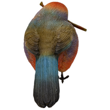 画像をギャラリービューアに読み込む, 木の枝をくわえるエナガ｜WooBia（ウービア）
