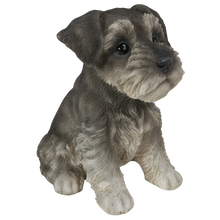 画像をギャラリービューアに読み込む, お座りシュナウザー（小）｜WooBia（ウービア）
