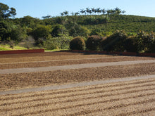 画像をギャラリービューアに読み込む, とらちゃんのオリジナル刺繍入り巾着とドリップバッグ6個セット（2種類×3個）｜とらまめロースタリー
