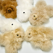 画像をギャラリービューアに読み込む, 【S】 アルパカベア テディベア ぬいぐるみ（BOX付）｜Alpaca Bear's（アルパカベアーズ）
