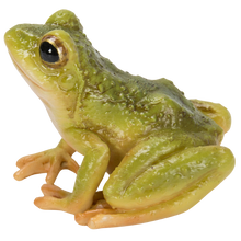 画像をギャラリービューアに読み込む, 二ホンアマガエル｜WooBia（ウービア）
