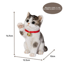 画像をギャラリービューアに読み込む, 右手を上げるサバトラ白招き猫｜WooBia（ウービア）
