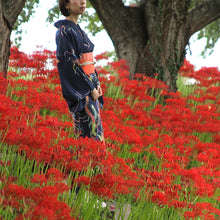 画像をギャラリービューアに読み込む, 洗える着物 帯 2点セット【鳳凰】山崎大輝デザイン｜KUTANI×KIMONO（クタニキモノ）
