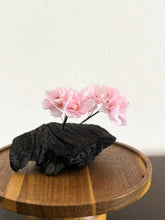 画像をギャラリービューアに読み込む, 夢を紡ぐ桜：炭オブジェ｜櫂の炭（カイノスミ）
