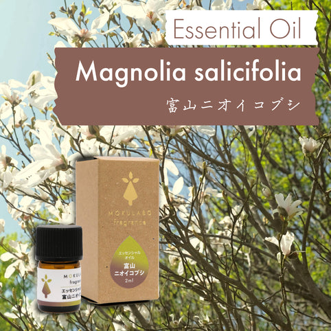 MOKULABO fragrance 日本の木のアロマ　エッセンシャルオイル　富山ニオイコブシ｜MOKULABO fragrance（モクラボフレグランス）