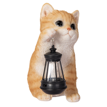 画像をギャラリービューアに読み込む, ソーラーランプを右手で持ち上げる茶トラ猫｜WooBia（ウービア）
