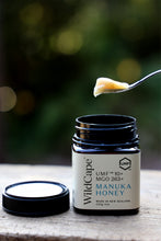 画像をギャラリービューアに読み込む, マヌカハニーWild Cape UMF20+ 250g｜FARADAY　KAMAKURA（ファラディ　カマクラ）
