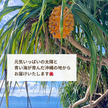 画像をギャラリービューアに読み込む, 金属アレルギー対応！ＭＩＸビーズネックレス / 錆びない素材｜Hiwalani（ヒワラニ）
