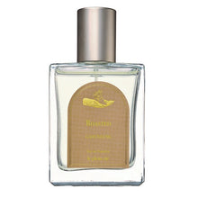 画像をギャラリービューアに読み込む, Gangneung 50ml｜le plein ete（ルプランエテ）
