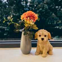 画像をギャラリービューアに読み込む, お座り トイプードル｜WooBia（ウービア）
