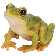 画像をギャラリービューアに読み込む, 二ホンアマガエル｜WooBia（ウービア）
