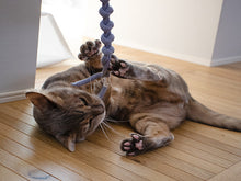 画像をギャラリービューアに読み込む, COTON Cat Training Rope｜necono（ネコノ）
