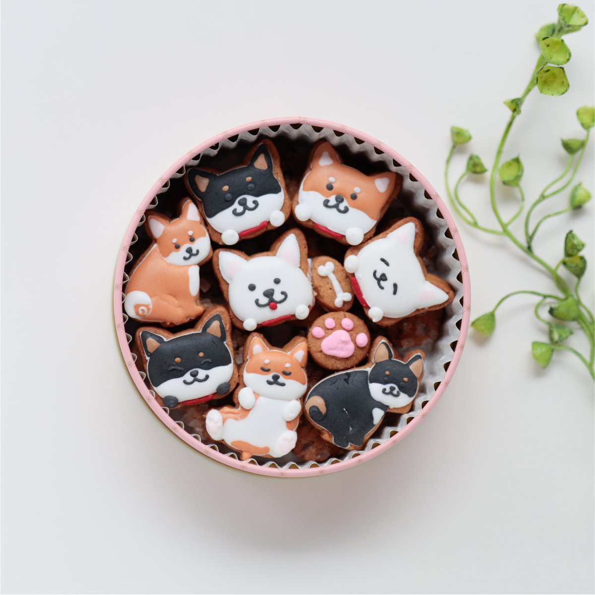 柴犬缶｜ケーキ工房 アンドンカフェ（ケーキコウボウ アンドンカフェ
