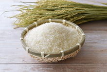 画像をギャラリービューアに読み込む, 千葉県産こしひかり２合平袋（300ｇ）｜ふるさと香取農園（フルサトカトリノウエン）
